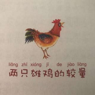 睡前故事547《两只雄鸡的较量》