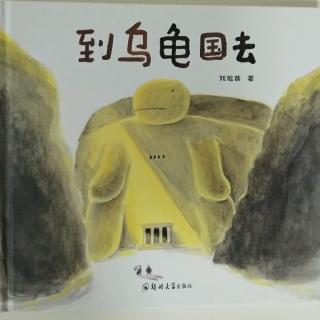 到乌龟国去