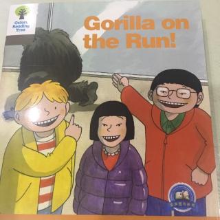 Gorilla on The Run