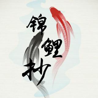 锦鲤抄的故事
