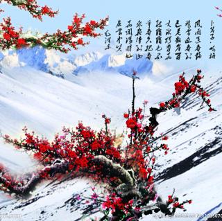 六（2）班李思彤《沁园春.雪》