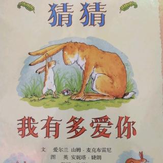 猜猜我有多爱你