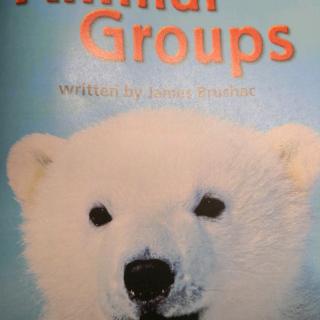 180915 animal groups-1