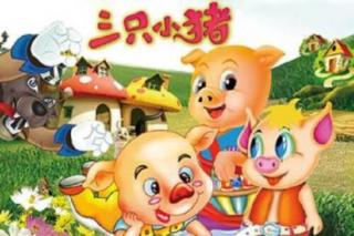 【翰林幼儿园】三只小猪🐷