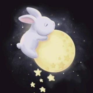 《月亮上的兔子》