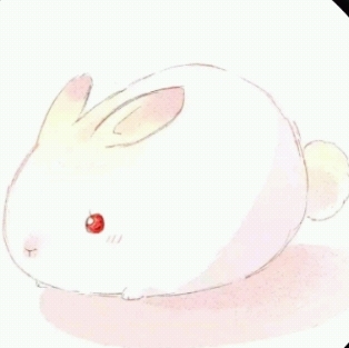 黑崎子♥小了白了兔