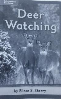 Deer Watching 🐴🦄🐬🐳