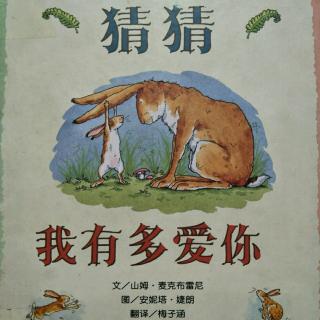 《猜猜我有多爱你》