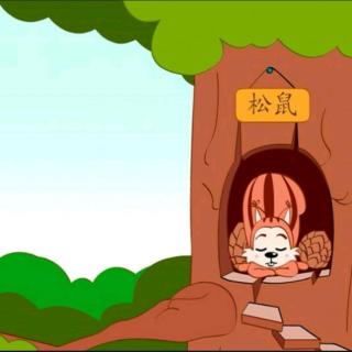 【故事111】供销幼儿园晚安故事《睡不着的小松鼠》