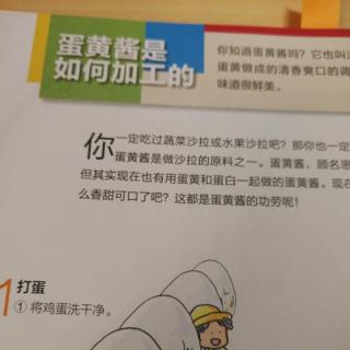 身边的科学 蛋黄酱是如何加工的