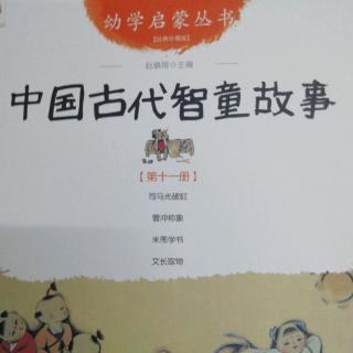 《中国古代智童故事》