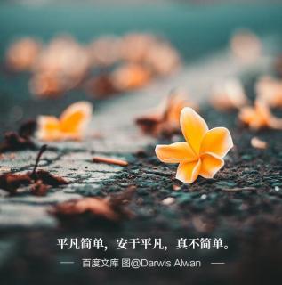 亲爱的薛老师