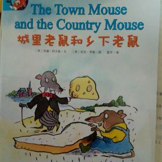 The Town Mouse and the county Mouse