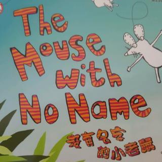 The  Mouse  with  No  Name