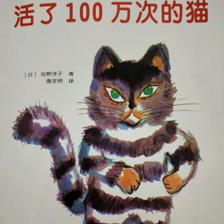 活了100万次的猫🐱