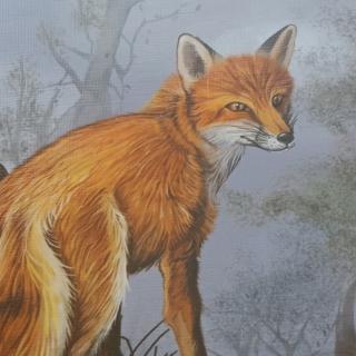 马浩翔《列那狐的故事》1---2章 75天