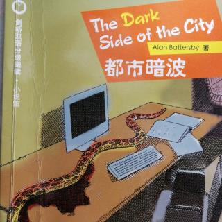 The Dark Side of the City (Chapter 1《East 43rd Street,Manhattan》