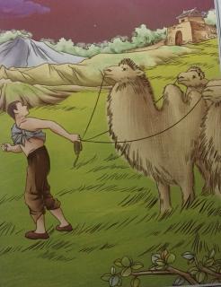 9【福娜&图玛】长篇小说《骆驼祥子》