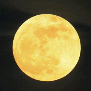 月亮代表我的心