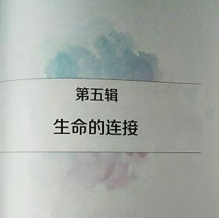 眼神，肢体动作，表情的连接