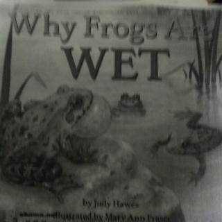 why frogs are wet Emily19-end