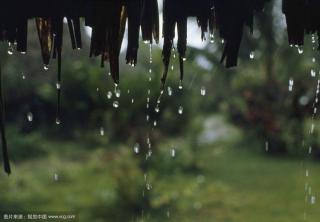 雨の言葉