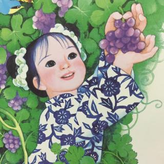 《野葡萄》传统民间绘本故事