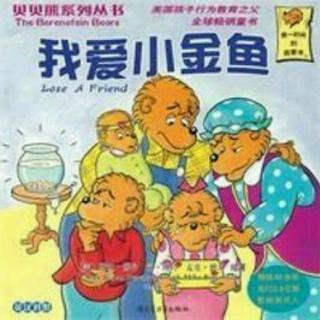 【绘本故事537】——《我爱小金鱼》