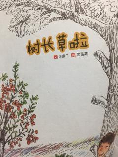 睡前故事568《树长草啦》