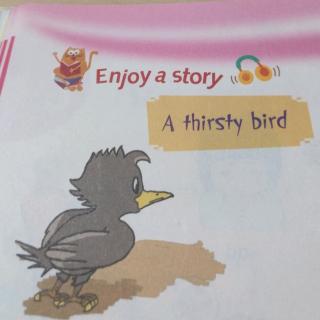 A thirsty bird