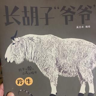 长胡子爷爷