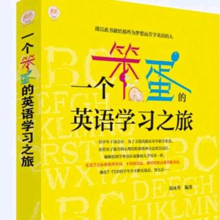 3.《一个笨蛋的学习之旅》工作后的职业选择困惑