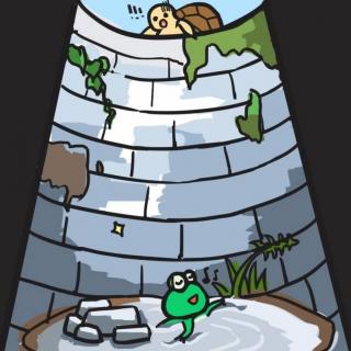 【晚安故事】乌龟和青蛙