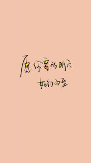 《关键冲突》赞誉 前言 序 引言