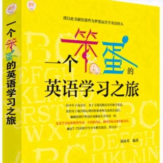 19.《一个笨蛋的英语学习之旅》关于口语发音标准的争议