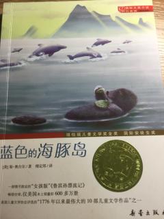 蓝色的海豚湾🐬