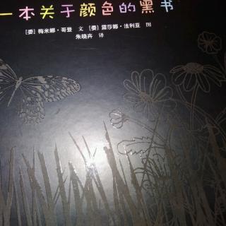 一本关于颜色的黑书