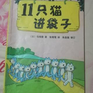 爱心树绘本馆11只猫系列《11只猫进袋子》