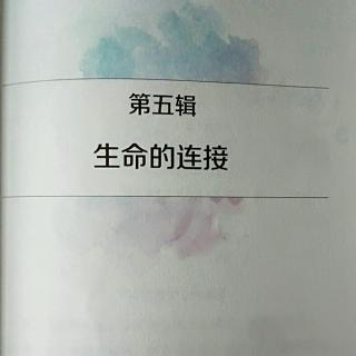 发自内心的欣赏和相信