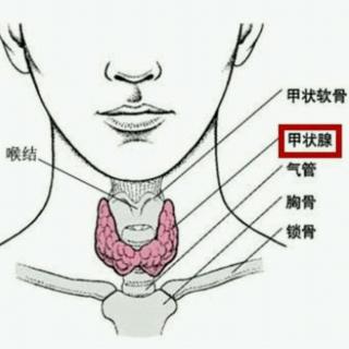 抽血测定甲状腺激素水平时需要注意什么？。。。