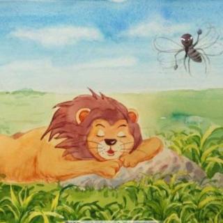 园长妈妈故事汇《狮子和蚊子》
