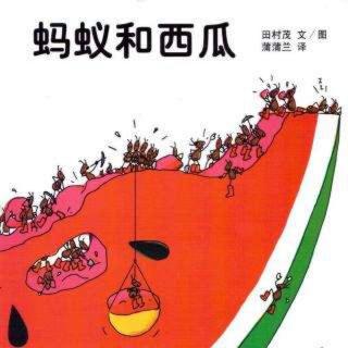 蚂蚁和西瓜🍉