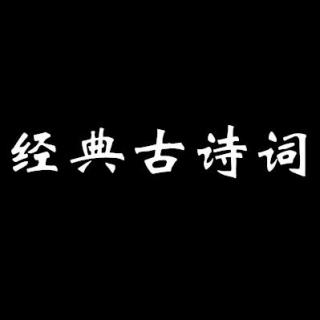 （耳机版）纳兰词~木兰花令.拟古决绝词~