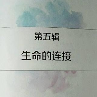 赞美的力量