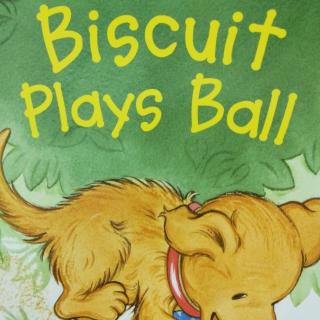 Biscuit plays ball