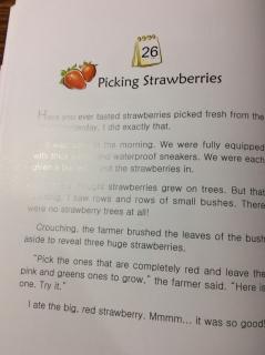 7-26 🍓Picking Strawberries