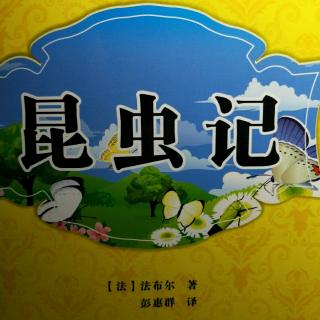 第三章装有"潜水艇〃的石蚕