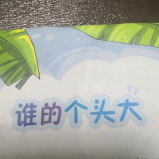 谁的个头大