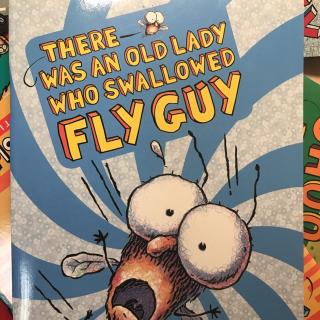 fly guy 1