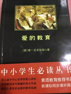 《爱的教育》总结